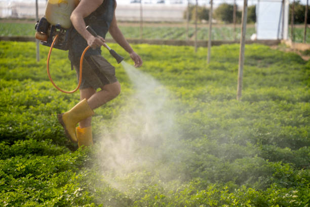 Best Affordable Pest Control Services  in Mcnair, VA