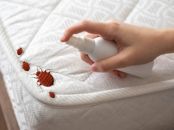 Best Local Pest Control Services  in Mcnair, VA